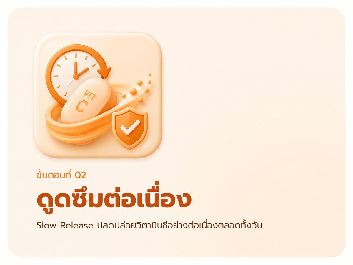 ขั้นตอนที่ 02 ดูดซึมต่อเนื่อง — Slow Release ปลดปล่อยวิตามินซีอย่างต่อเนื่องทั้งวัน